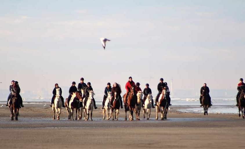 De drie vijvers - Adinkerke - strandwandeling