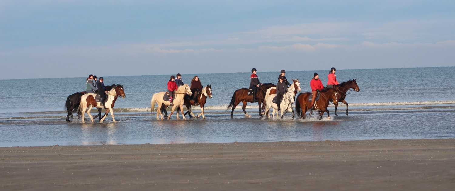 De Drie Vijvers - Adinkerke - met de paarden wandelen aan zee