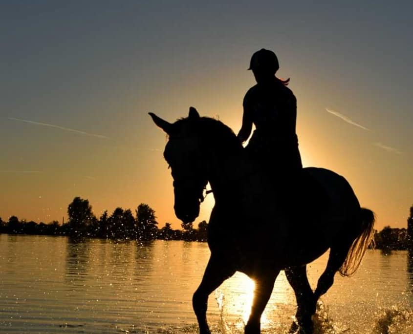 De drie vijvers vakantie te paard aan zee